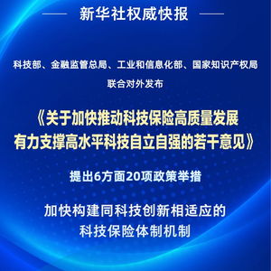 四部門聯(lián)合發(fā)力，以二十項(xiàng)舉措推動(dòng)科技保險(xiǎn)高質(zhì)量發(fā)展——信息技術(shù)咨詢服務(wù)迎來新契機(jī)